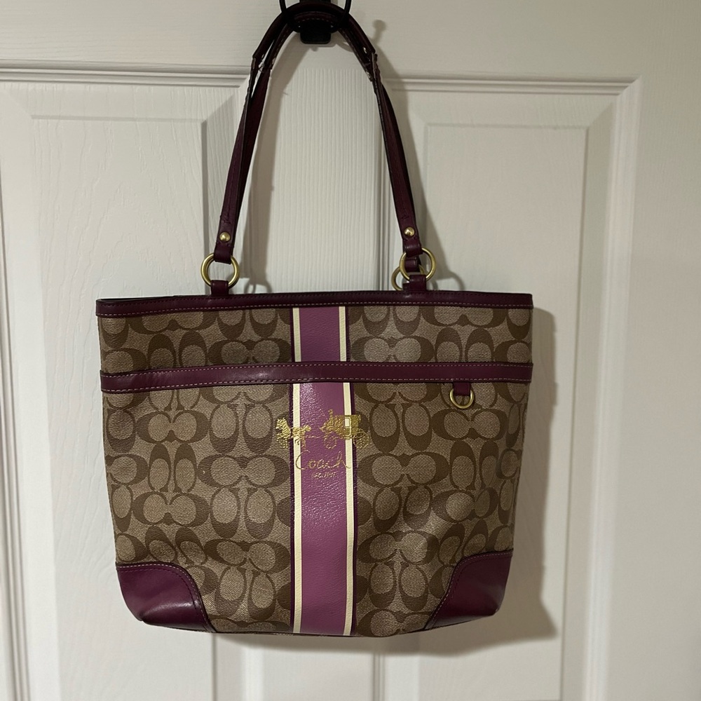 Coach Brown and Purple Stripe Tote